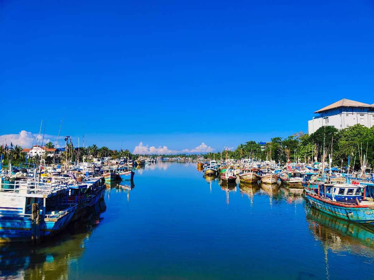 Nuwara Eliya Tea Plantation